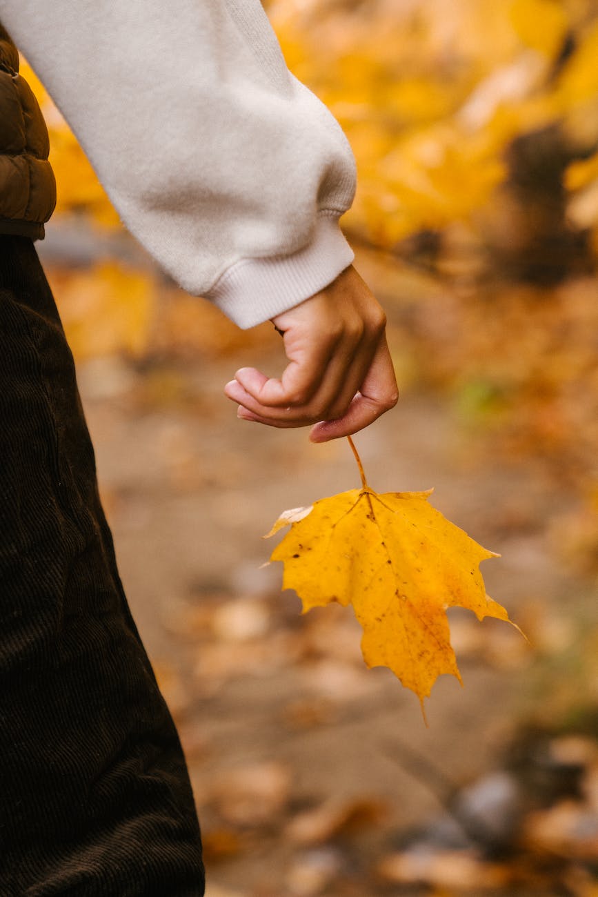 faceless person with leaf in hand